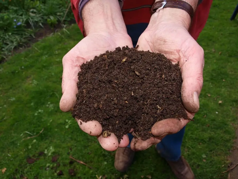 Bokashi vs Compost: Compare the 2 Methods
