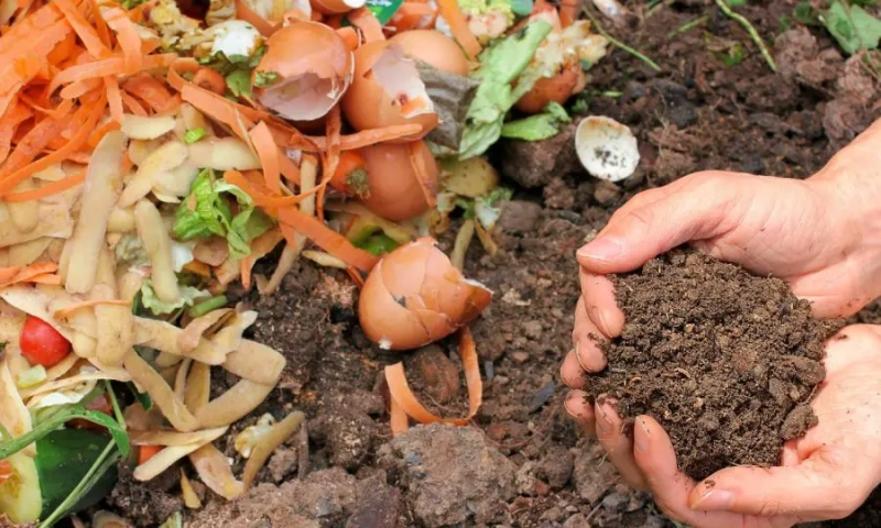 Environmental Impact of Composting