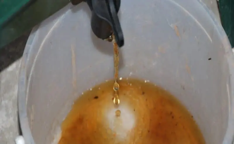 Compost Tea Benefits: 5 Big Benefits of Compost Tea