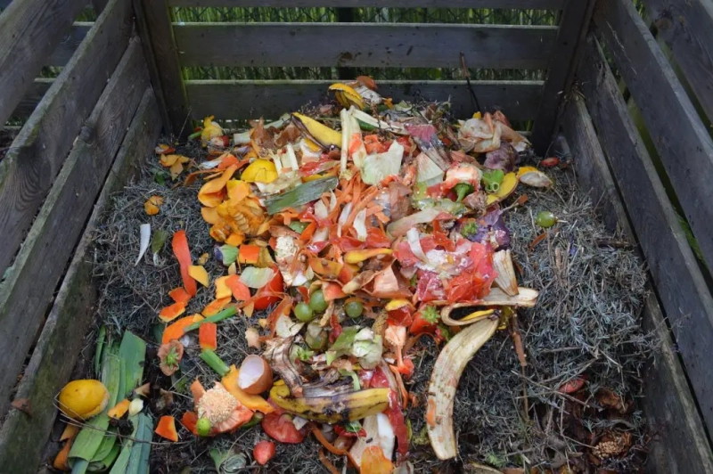 Composting 101: What Can Be Composted? Avoid These