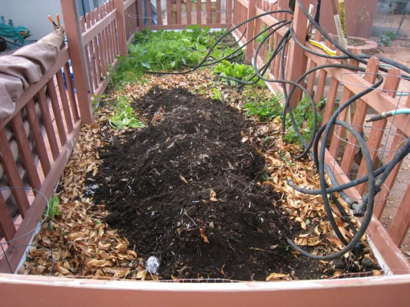 Different Types of Home Composting Methods: 9 Basic Types