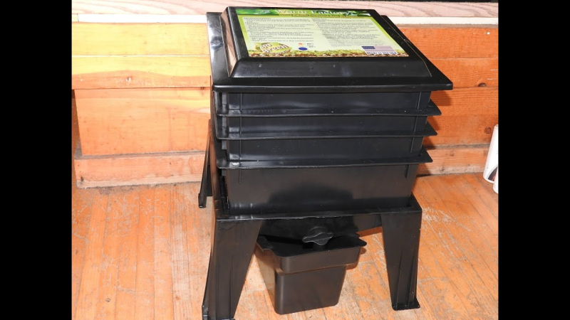 Setting Up a Worm Compost Bin: 3 Big Reasons Why