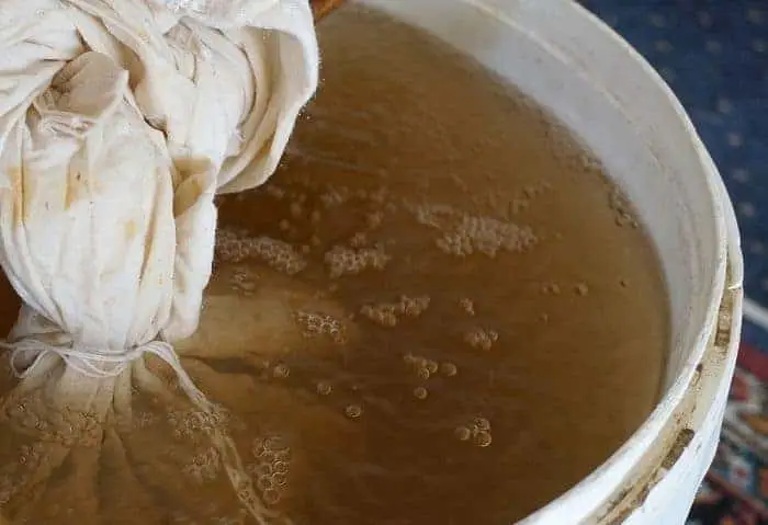 Using Compost in Container Gardens: 7 Tips and Tricks