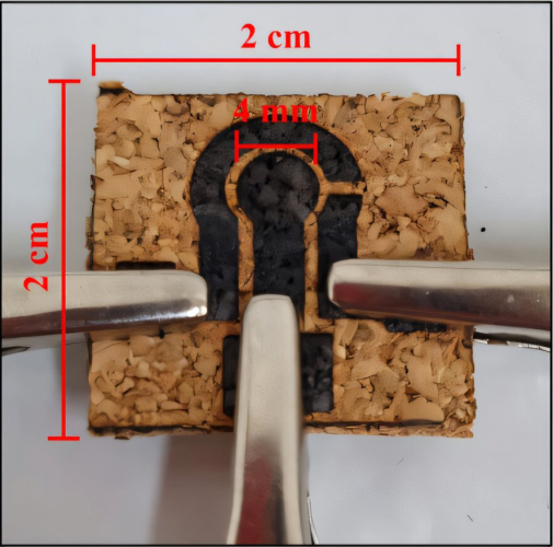 Brazilian team develops cork-based sensor to detect sodium nitrite in drinks