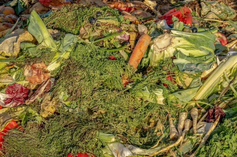 What Not to Compost and Why: 10 Big Composting No Nos