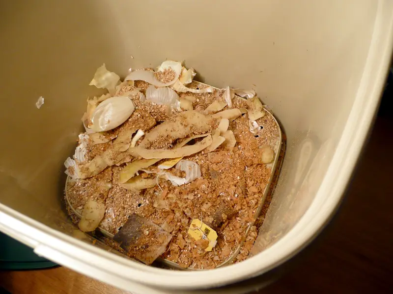 Bokashi vs Compost: Compare the 2 Methods